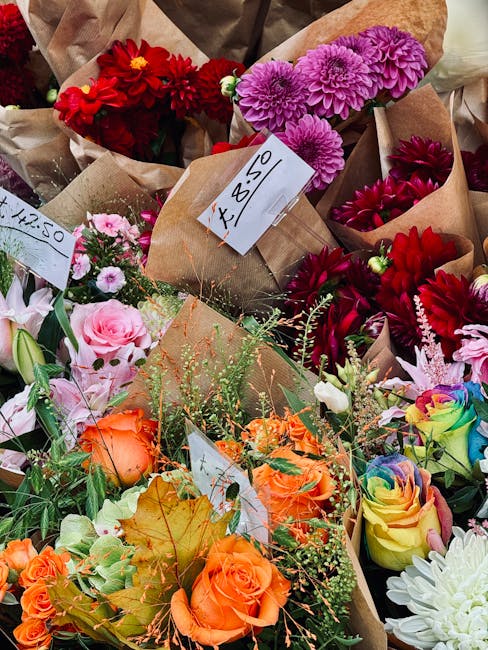 A vibrant assortment of fresh flower bouquets arranged in brown wrapping paper and displayed for flower delivery. Prominent flowers include deep red dahlias, bright pink dahlias, soft pink roses, oran